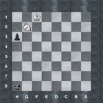 Sjakkbrikkene – bonden 11